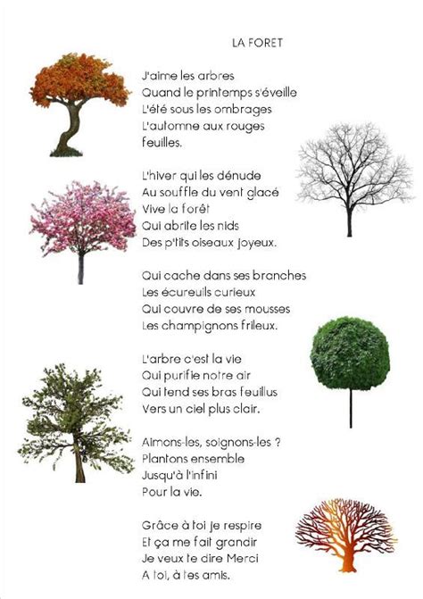voix de la forêt 2025