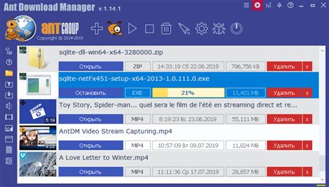 Ant Download Manager 2.15.0.89131
