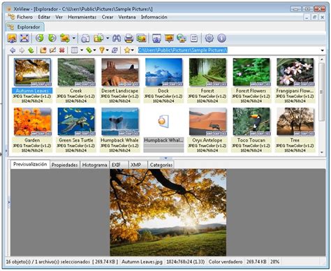 XnView Classic 2.52.0 Extended